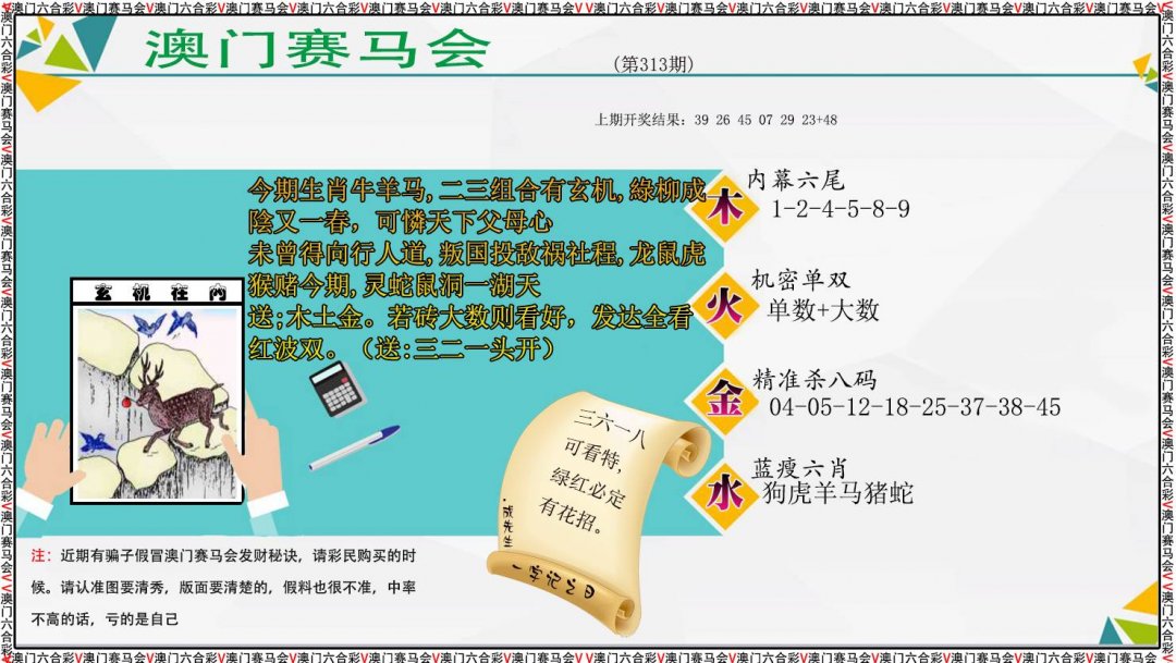 2024313期发财秘诀
