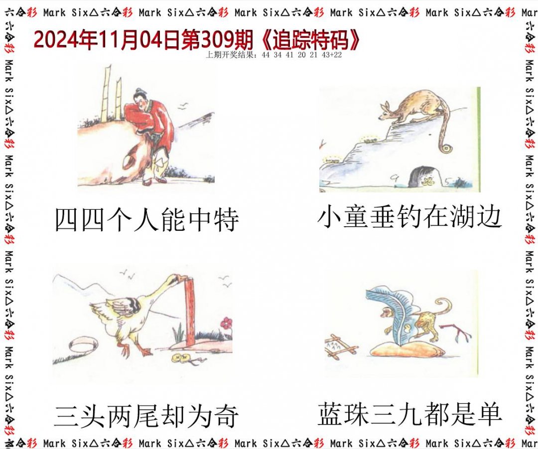 2024309期追踪特码