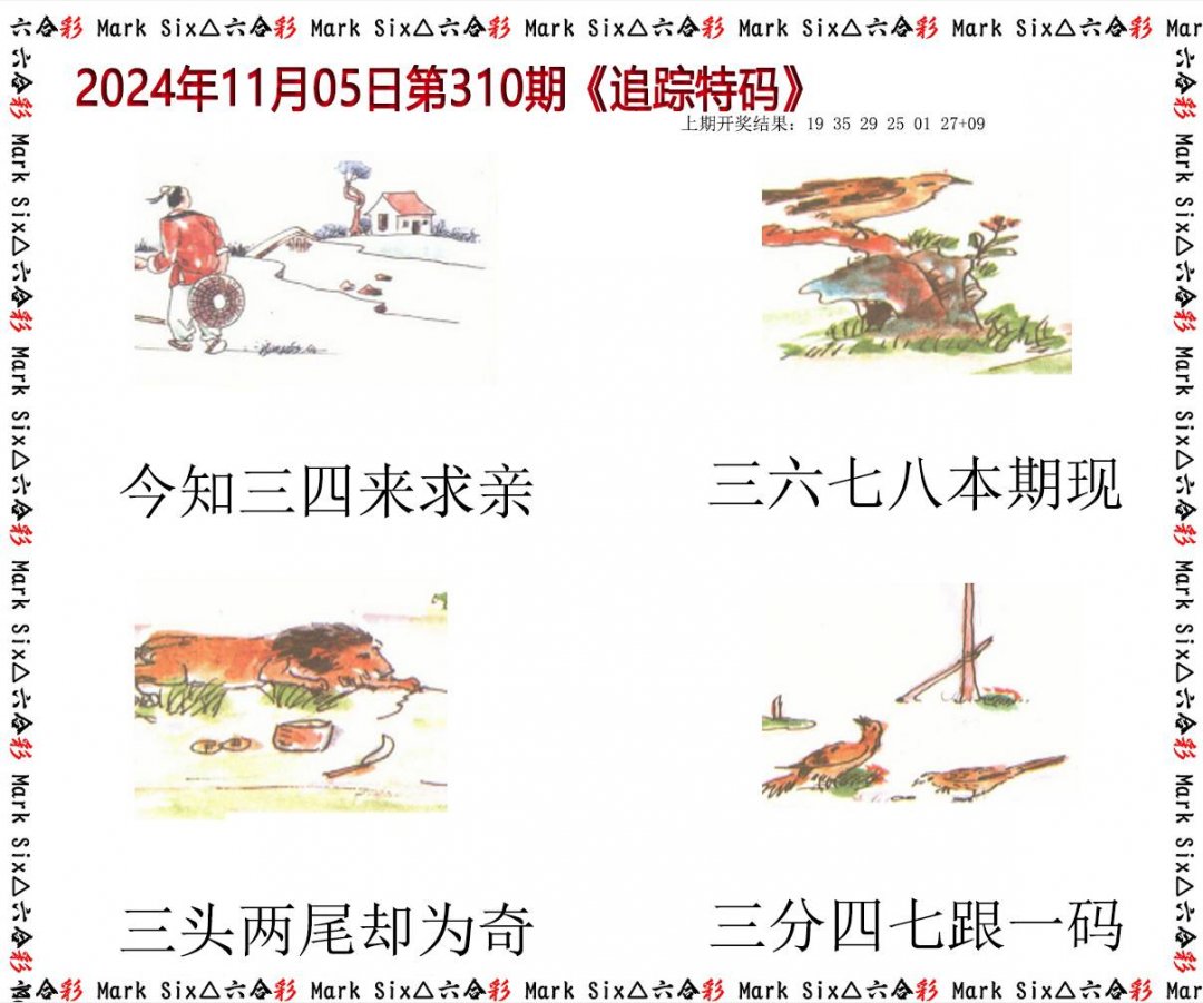 2024310期追踪特码