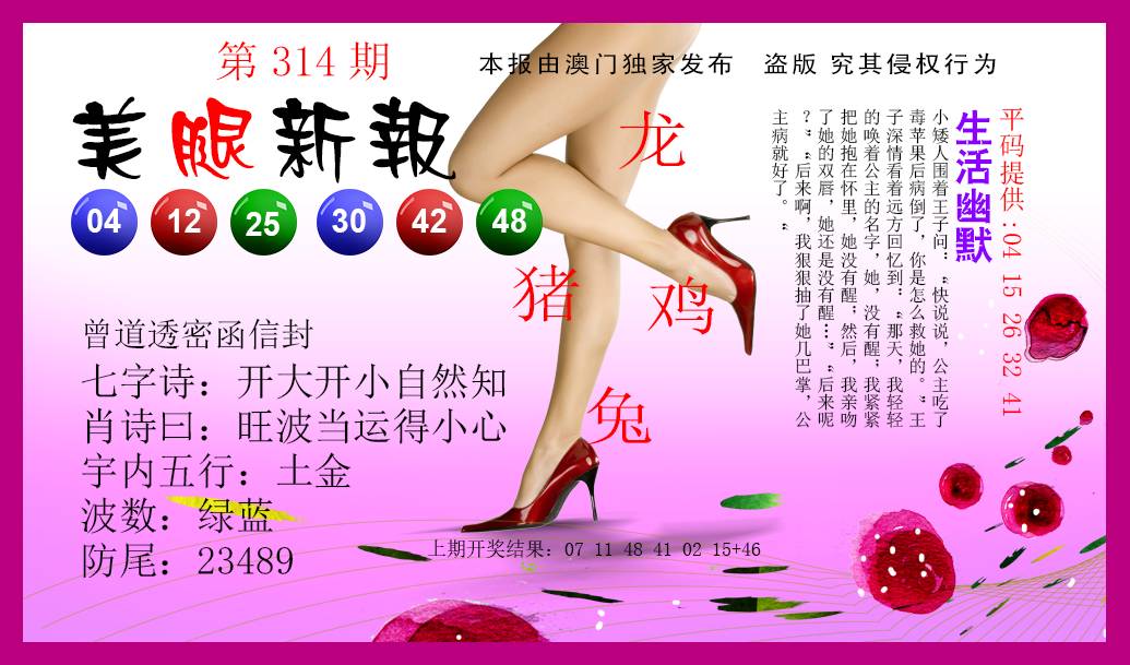 2024314期美腿新报