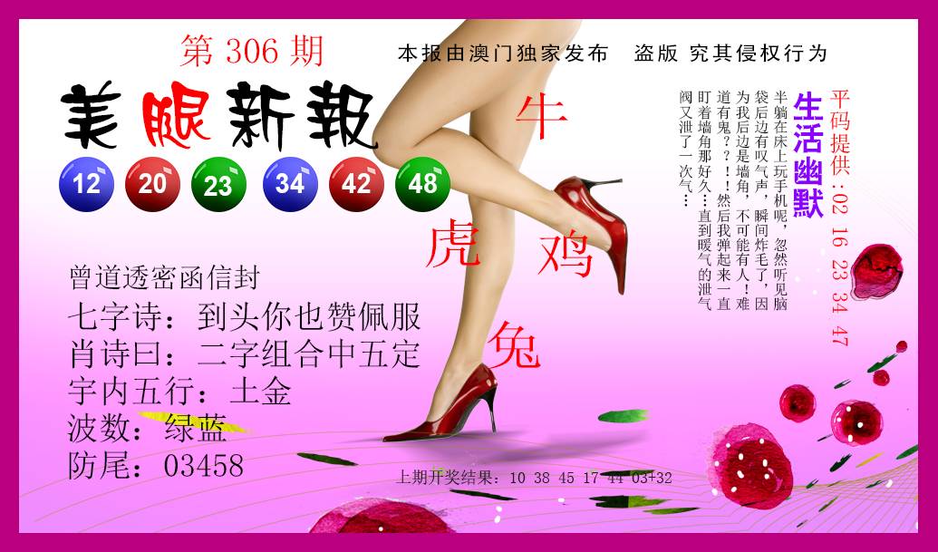 2024306期美腿新报