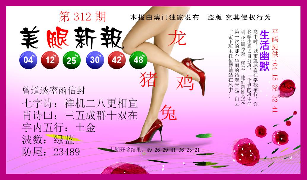 2024312期美腿新报