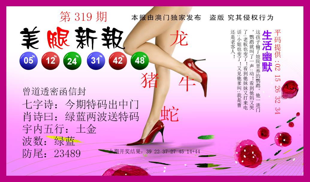 2024319期美腿新报
