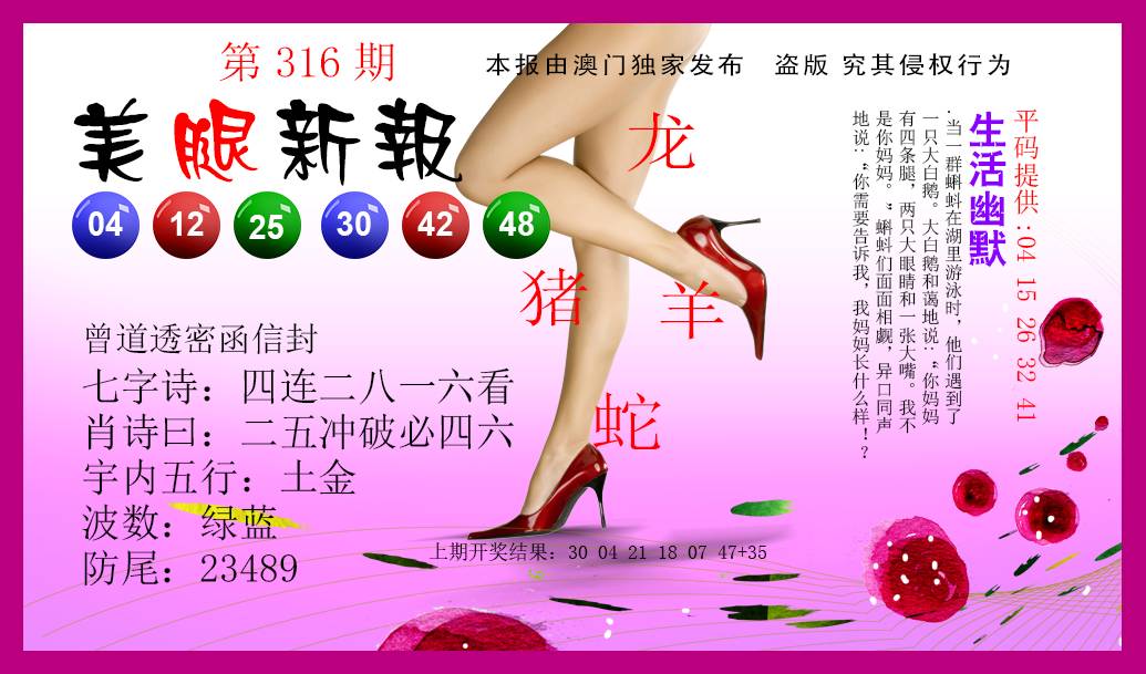 2024316期美腿新报