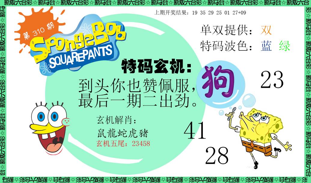 2024310期新特码玄机
