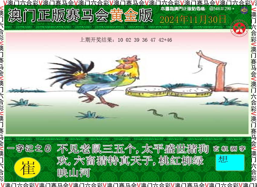 2024335期赛马会黄金版