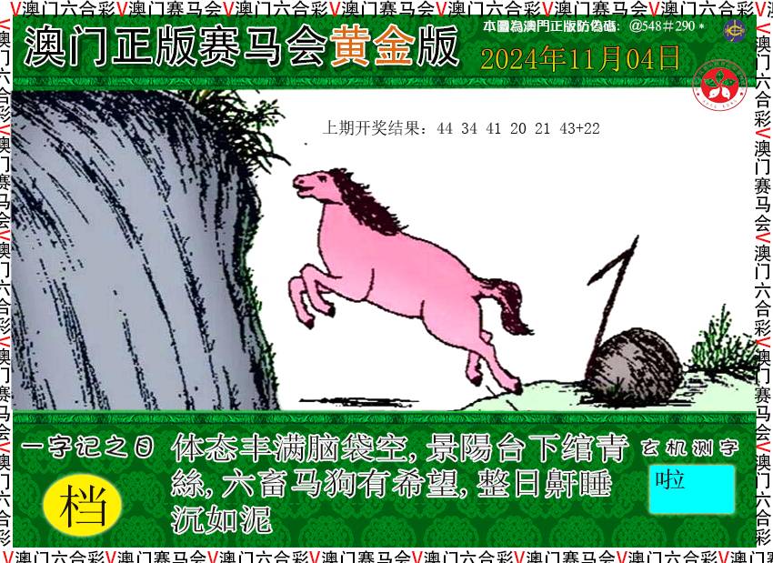 2024309期赛马会黄金版