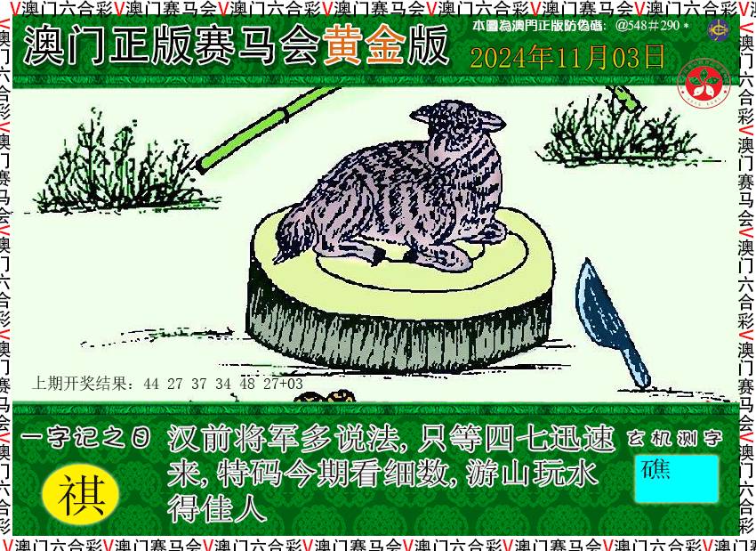 2024308期赛马会黄金版