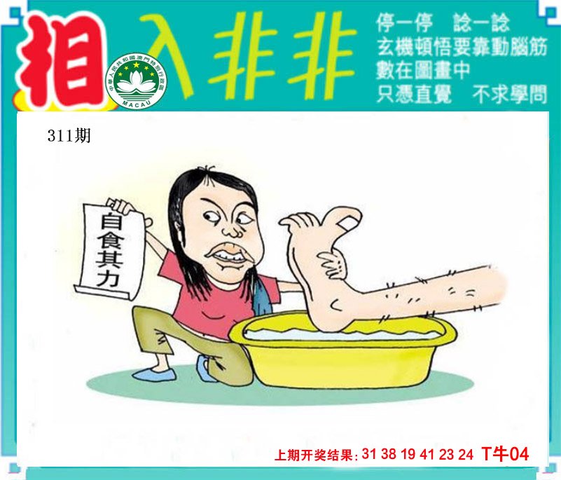 2024311期相入非非
