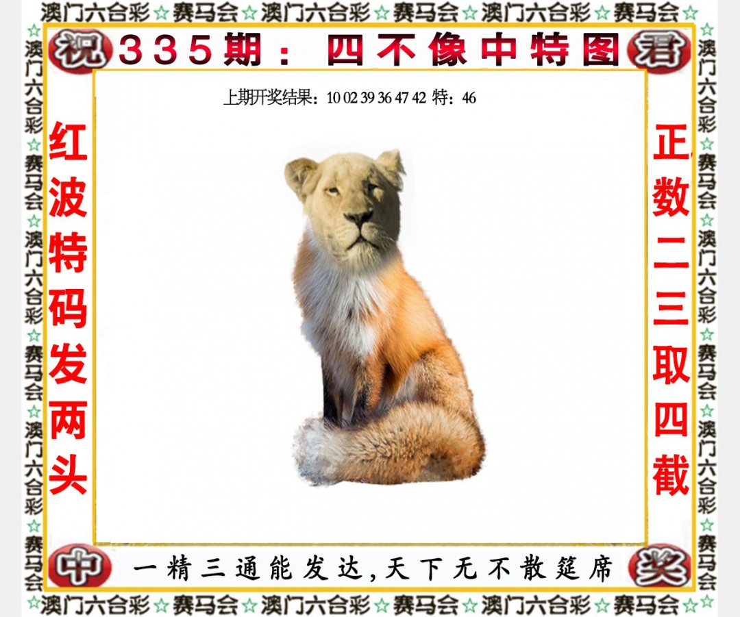 2024335期四不像中特图