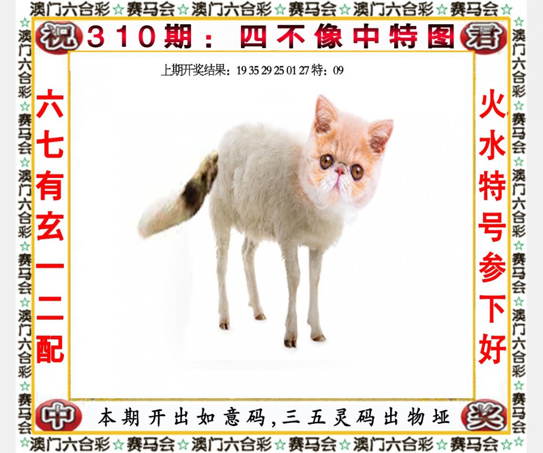 2024310期四不像中特图