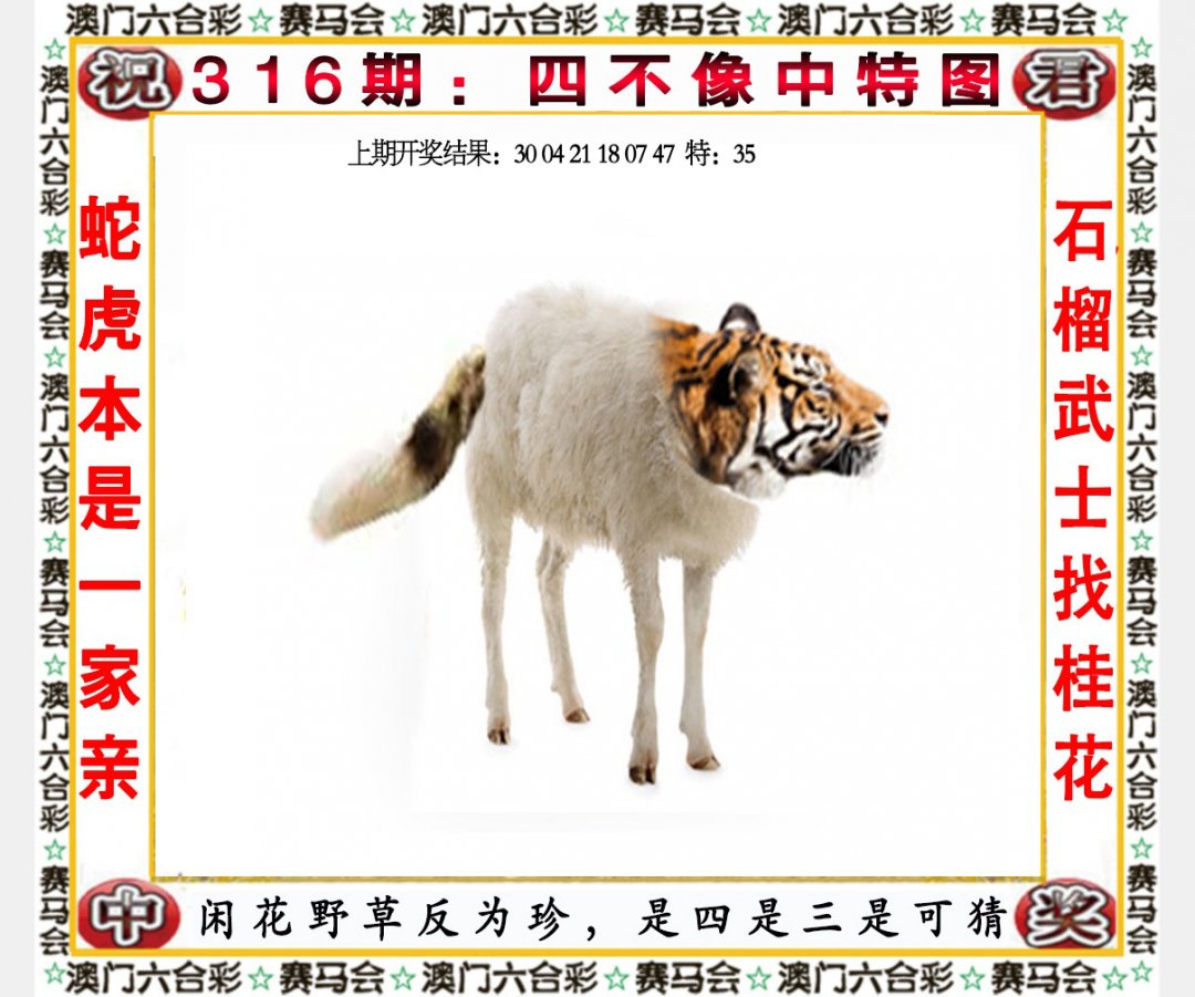 2024316期四不像中特图