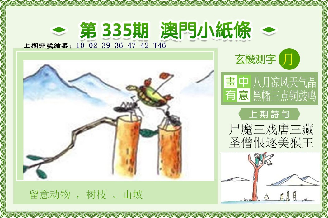 2024335期澳门小纸条