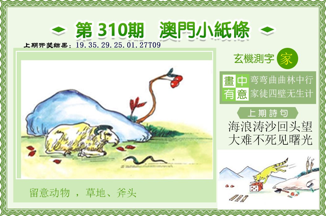 2024310期澳门小纸条