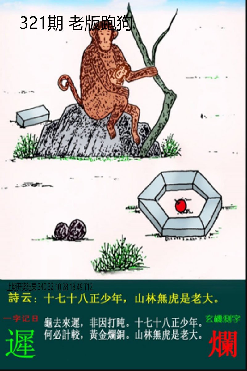 2024321期老板跑狗