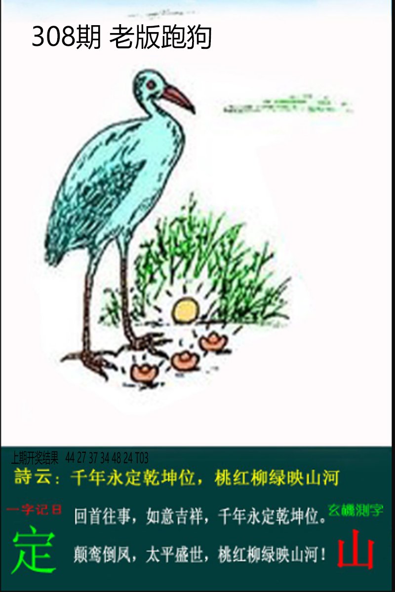 2024308期老板跑狗