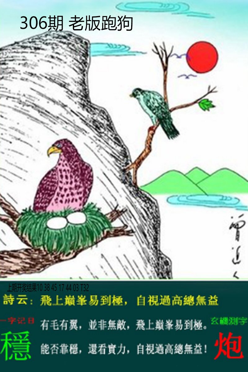 2024306期老板跑狗