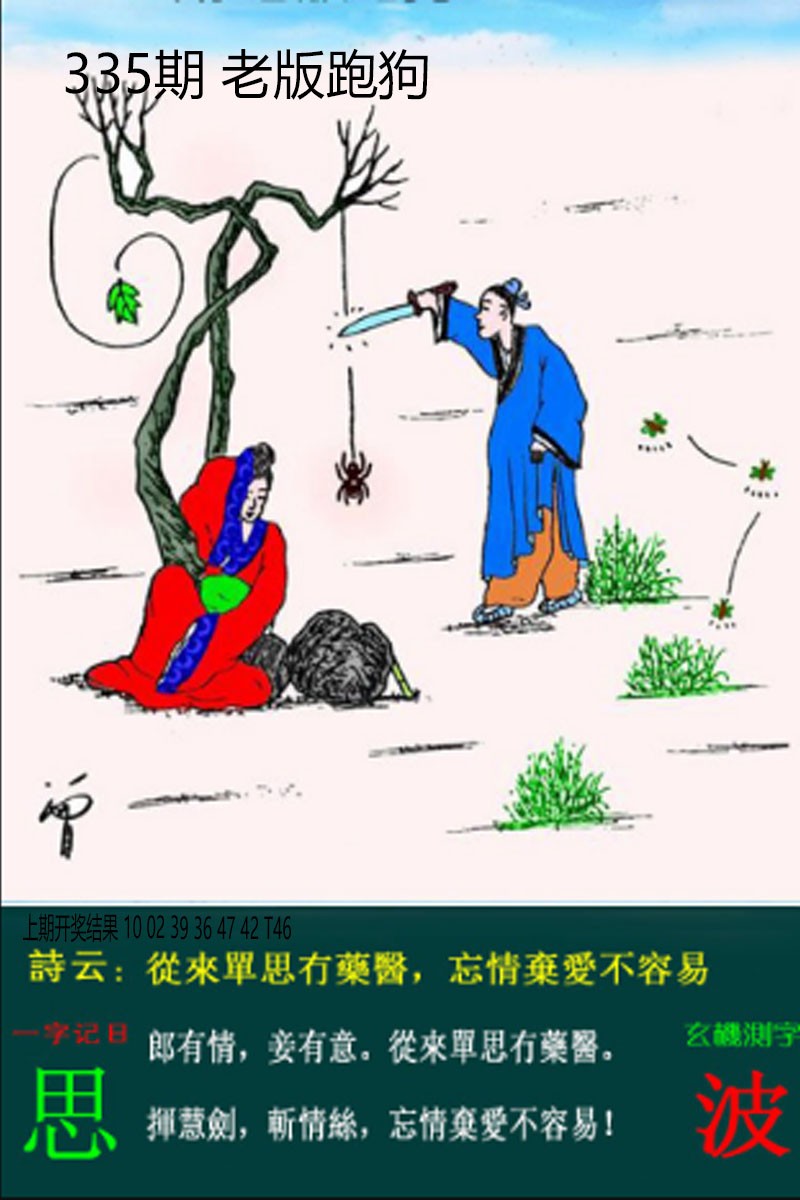 2024335期老板跑狗