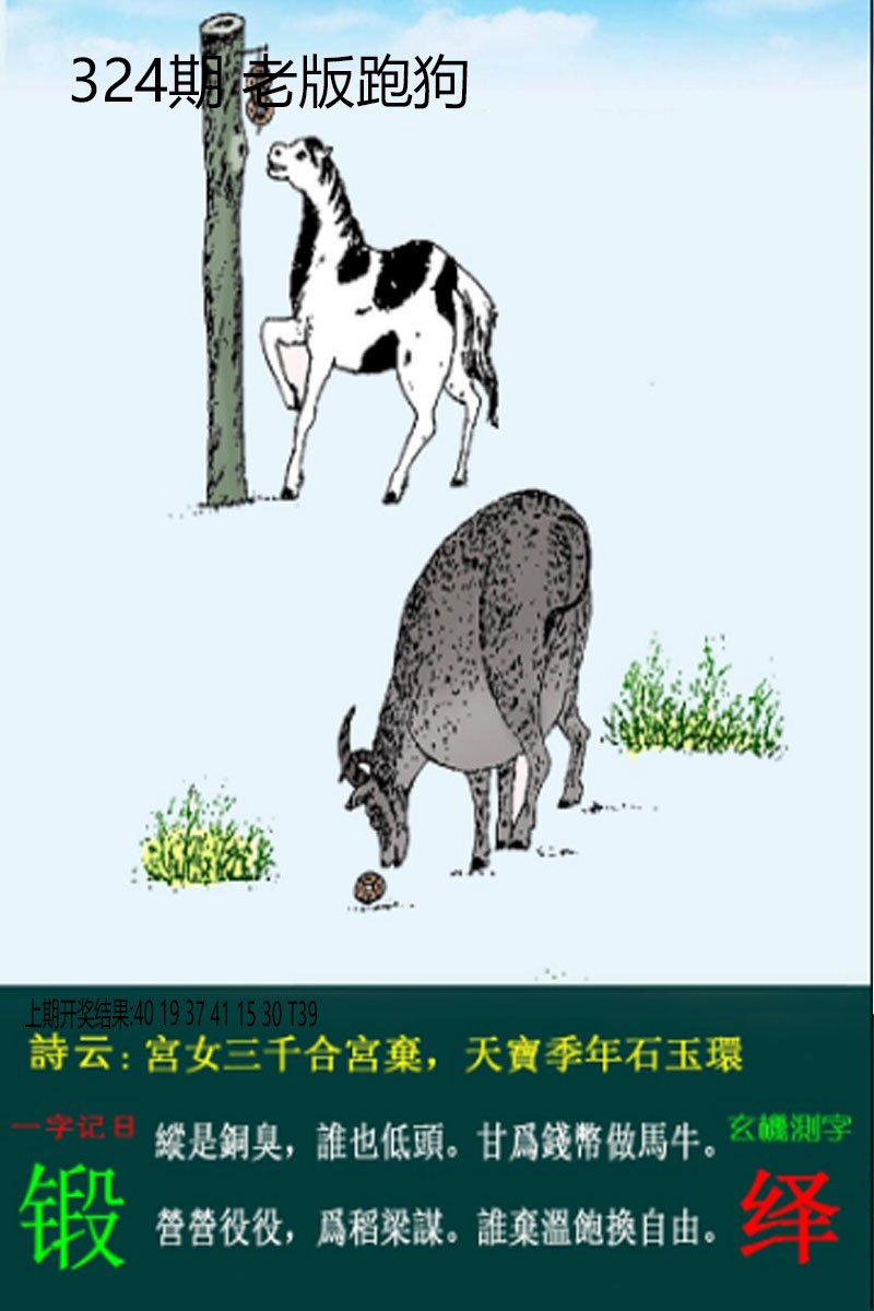 2024324期老板跑狗