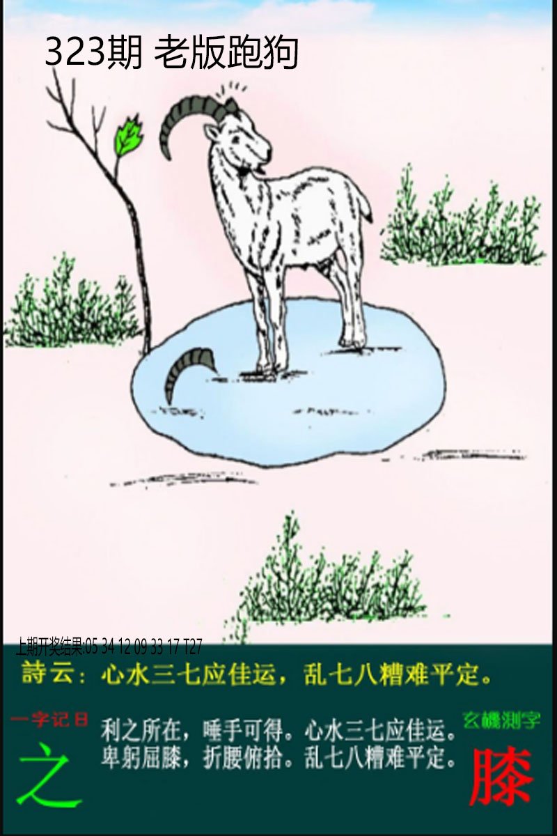 2024323期老板跑狗