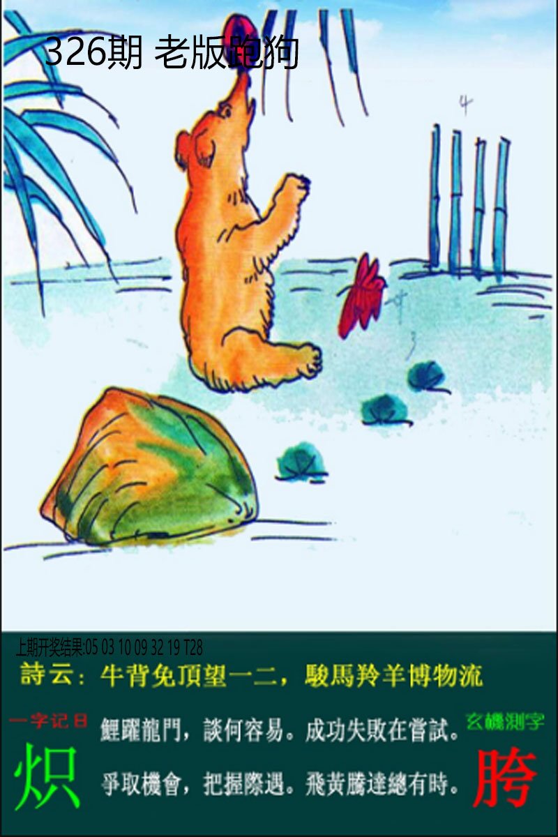 2024326期老板跑狗