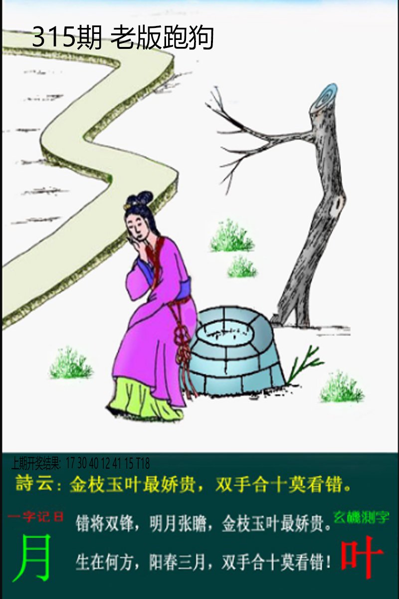 2024315期老板跑狗