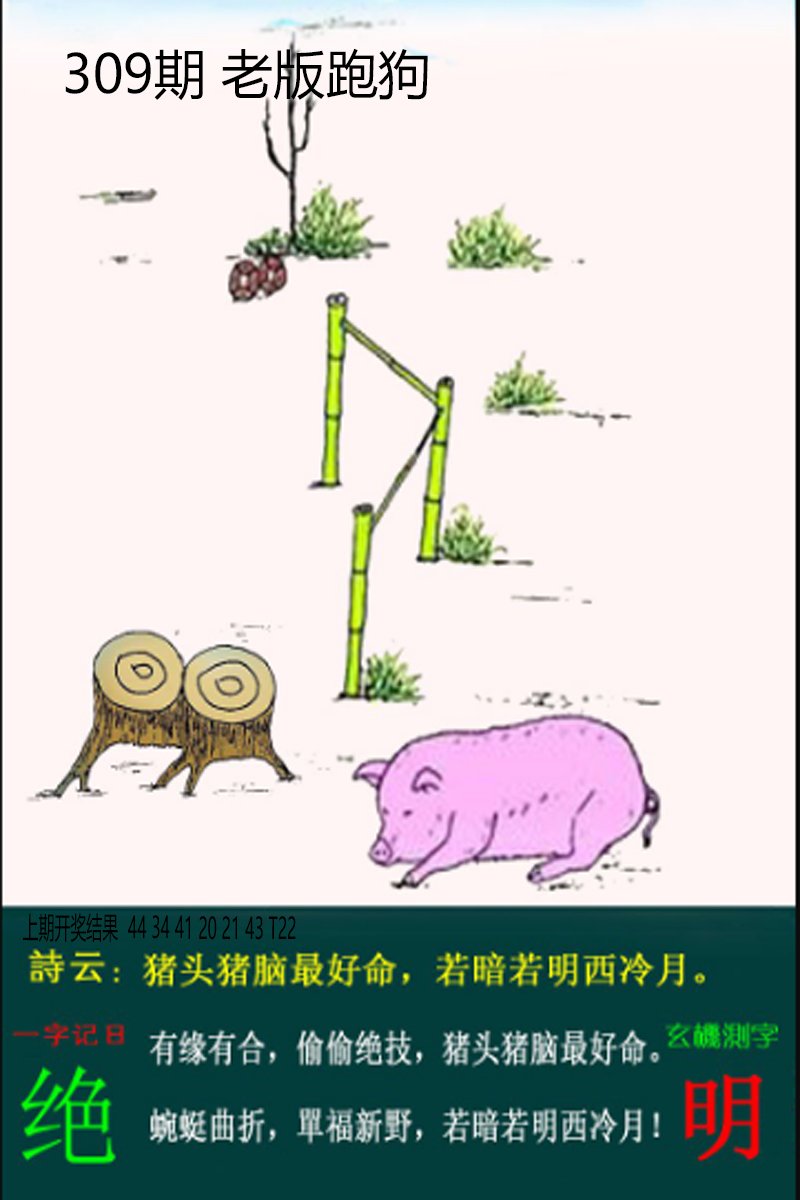 2024309期老板跑狗