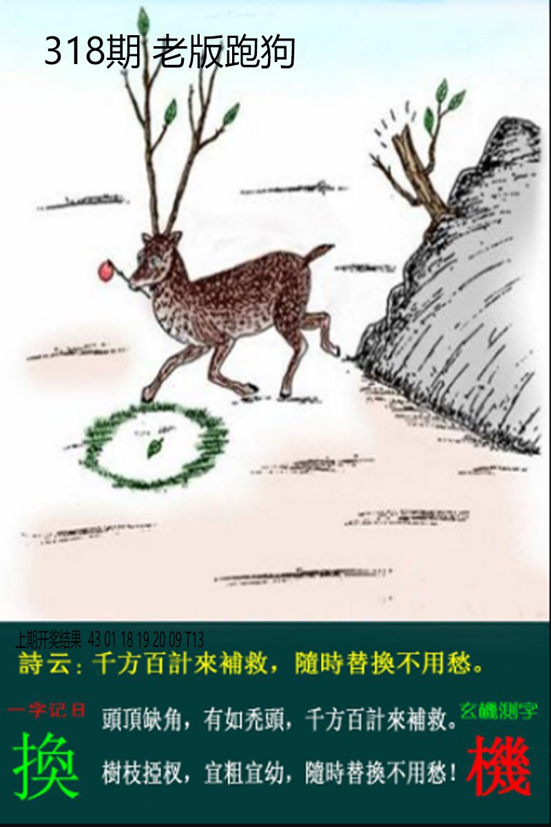 2024318期老板跑狗