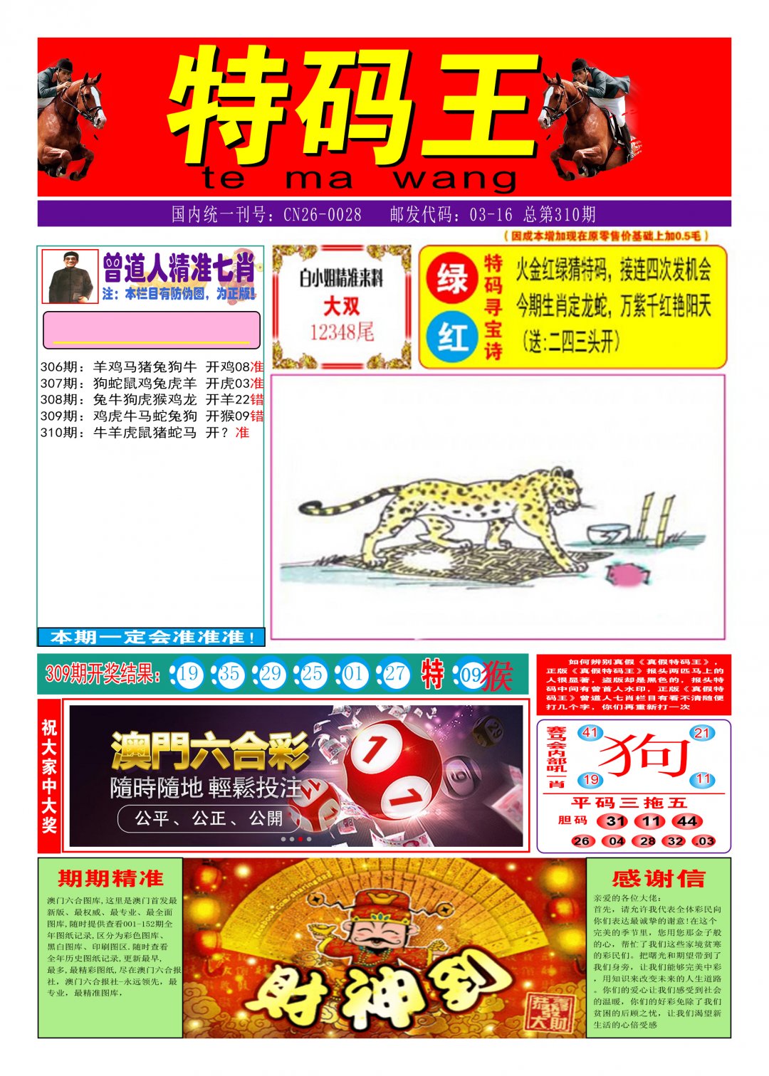 2024310期特码王A