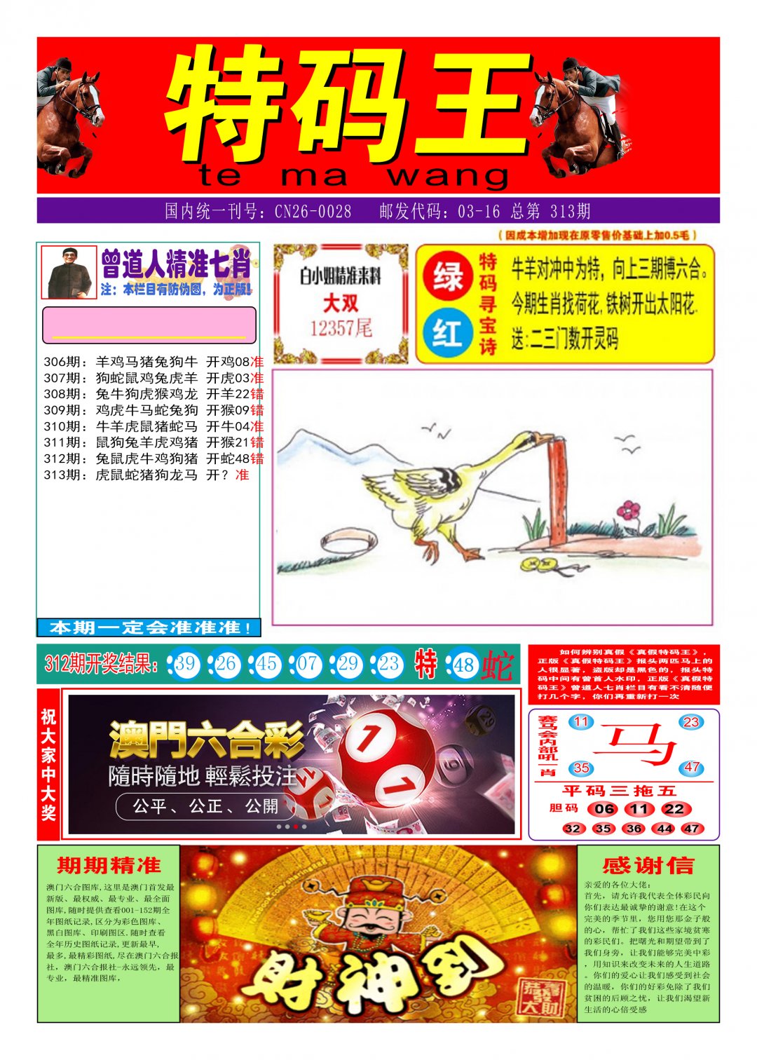 2024313期特码王A