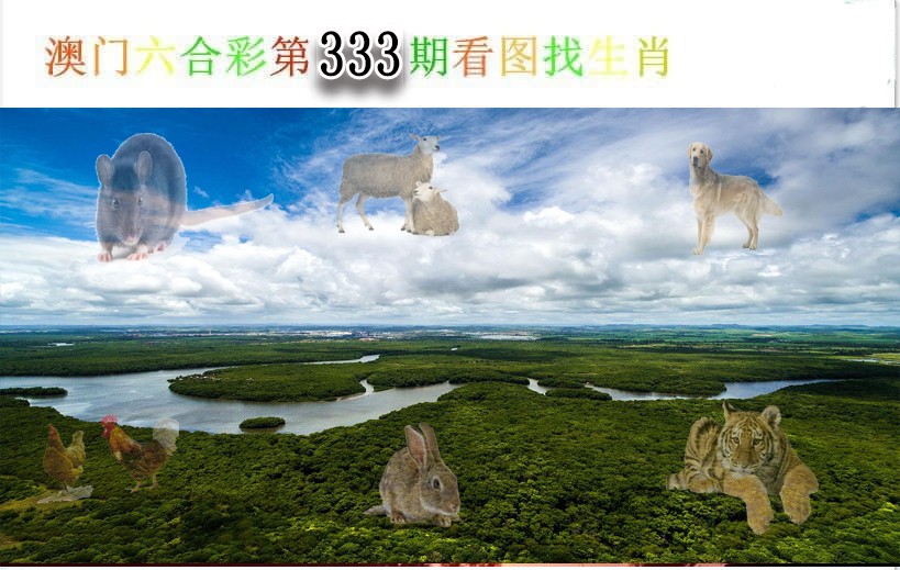 2024333期看图找生肖