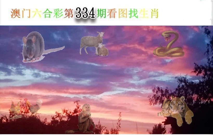 2024334期看图找生肖
