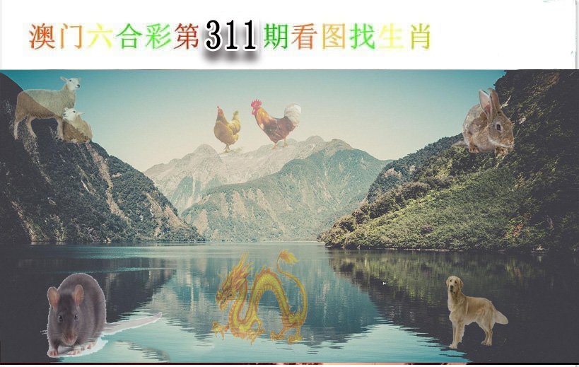 2024311期看图找生肖