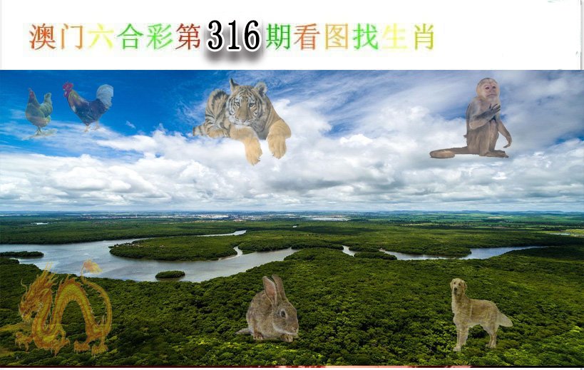 2024316期看图找生肖