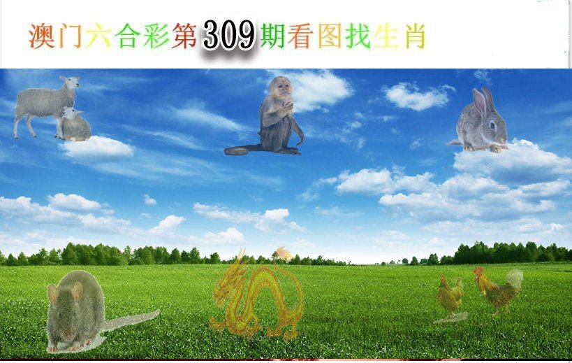 2024309期看图找生肖