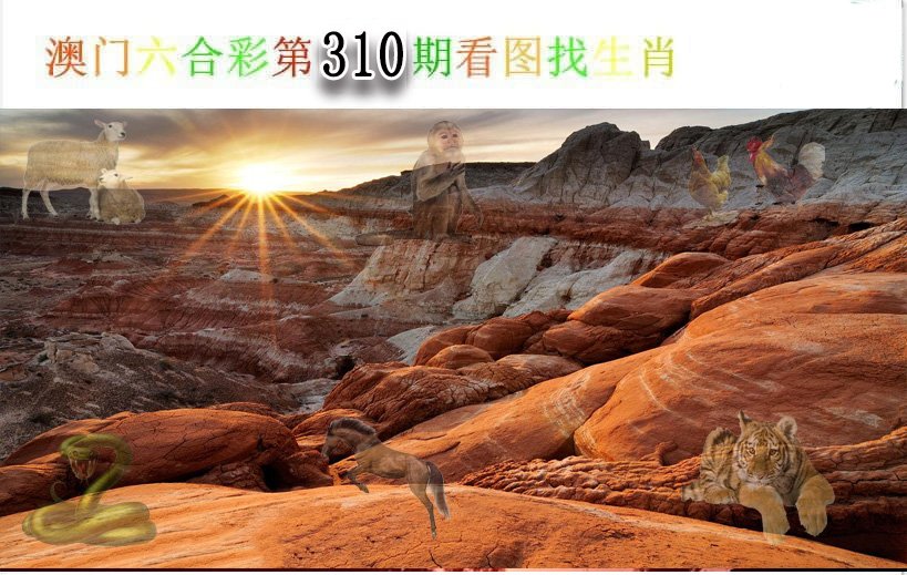 2024310期看图找生肖