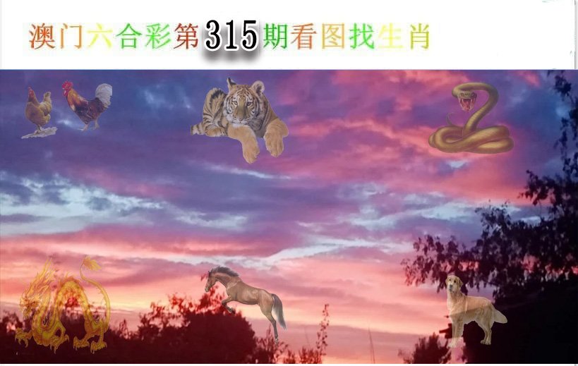 2024315期看图找生肖