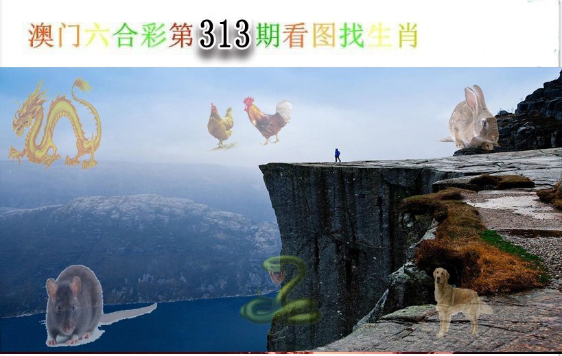 2024313期看图找生肖