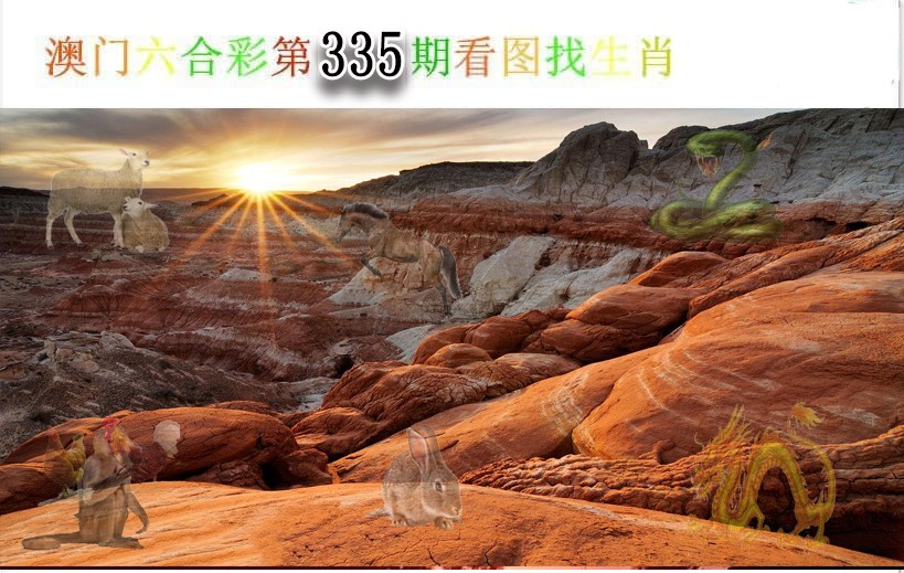2024335期看图找生肖
