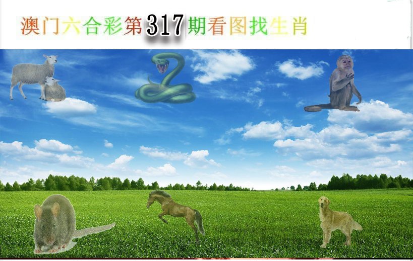 2024317期看图找生肖