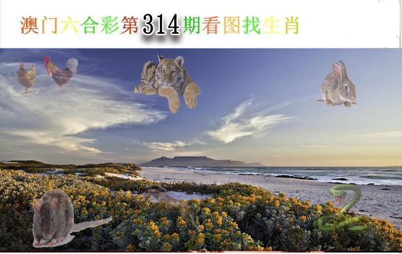 2024314期看图找生肖