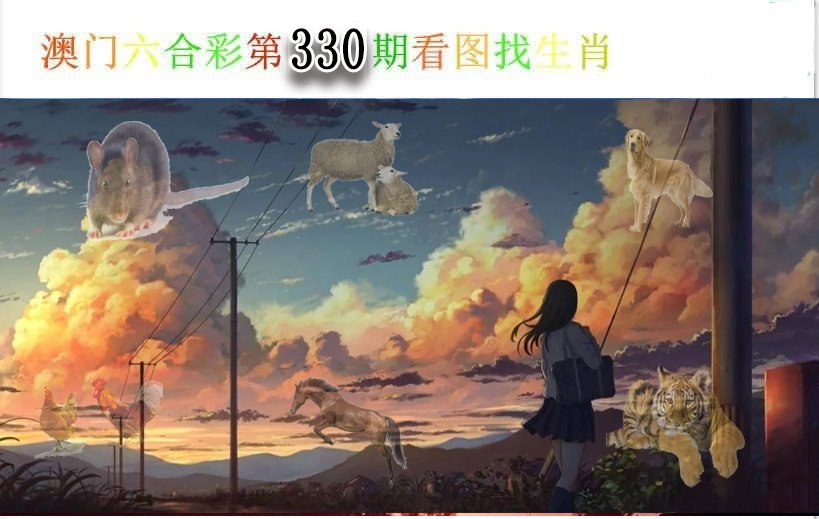 2024330期看图找生肖