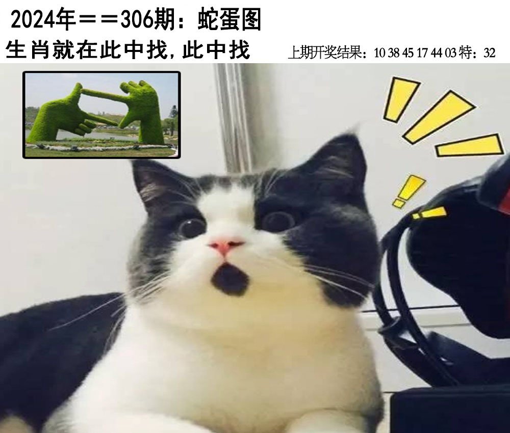 2024306期另版蛇蛋图