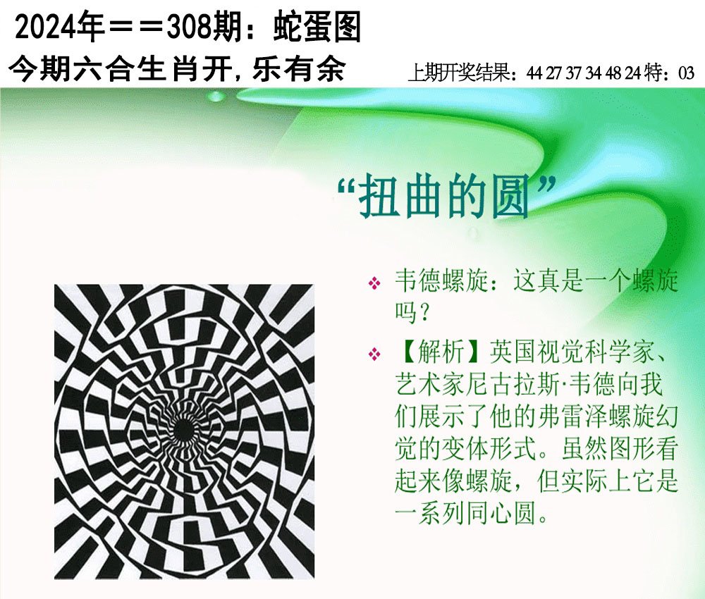 2024308期另版蛇蛋图