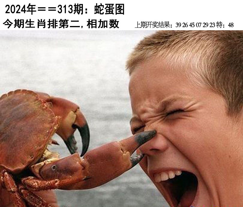 2024313期另版蛇蛋图