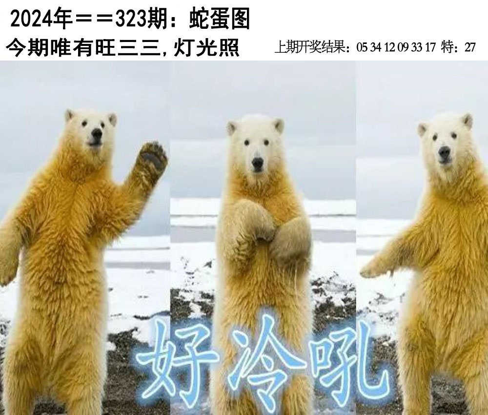 2024323期另版蛇蛋图