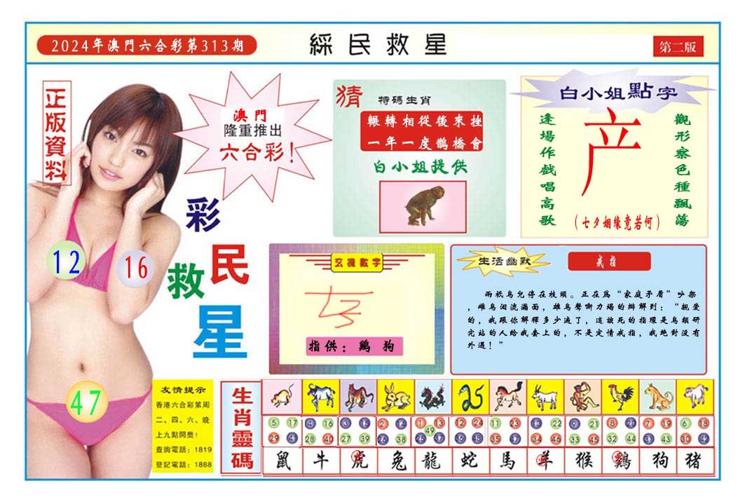 2024313期彩民救星B