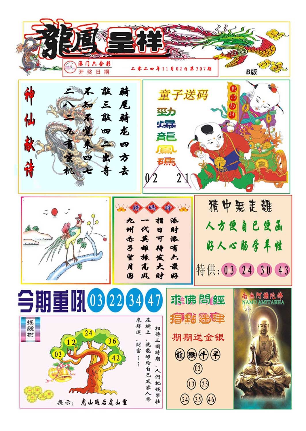 2024307期龙凤呈祥B