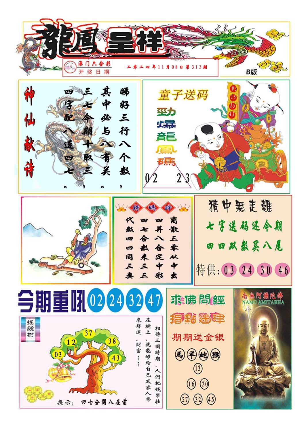 2024313期龙凤呈祥B