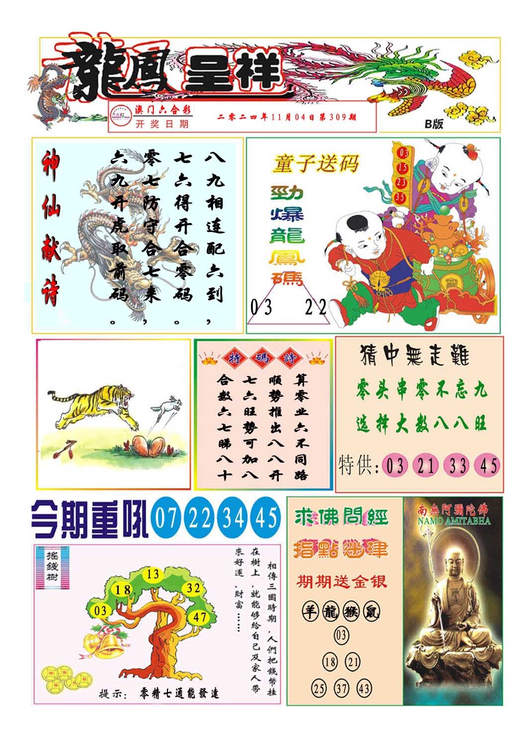 2024309期龙凤呈祥B